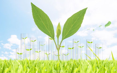 綠色科技華宅領(lǐng)軍人物 得朗詩綠洲者得天下